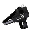 Harnais pour chien personnalisable