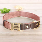 Collier chien personnalisé