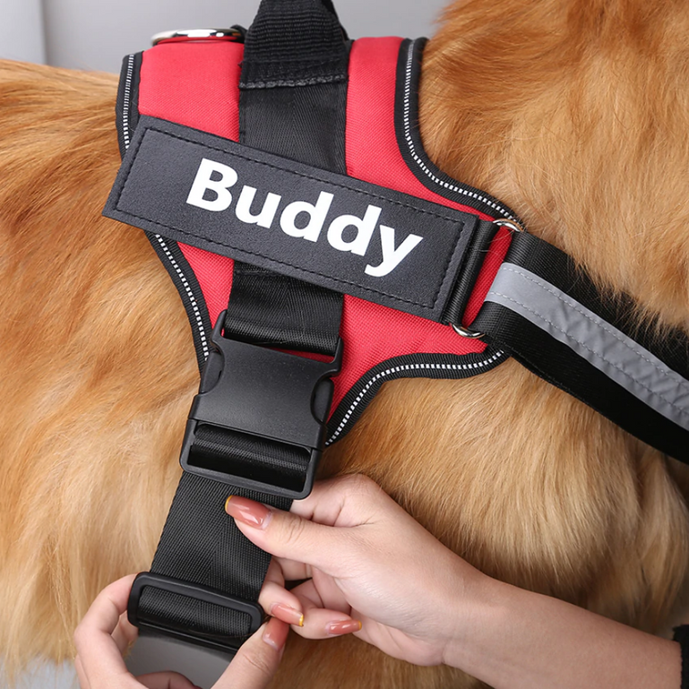 Harnais pour chien personnalisable