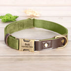 Collier chien personnalisé