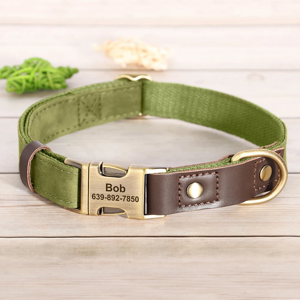 Collier chien personnalisé