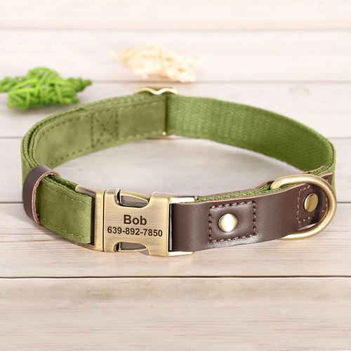 Collier chien personnalisé