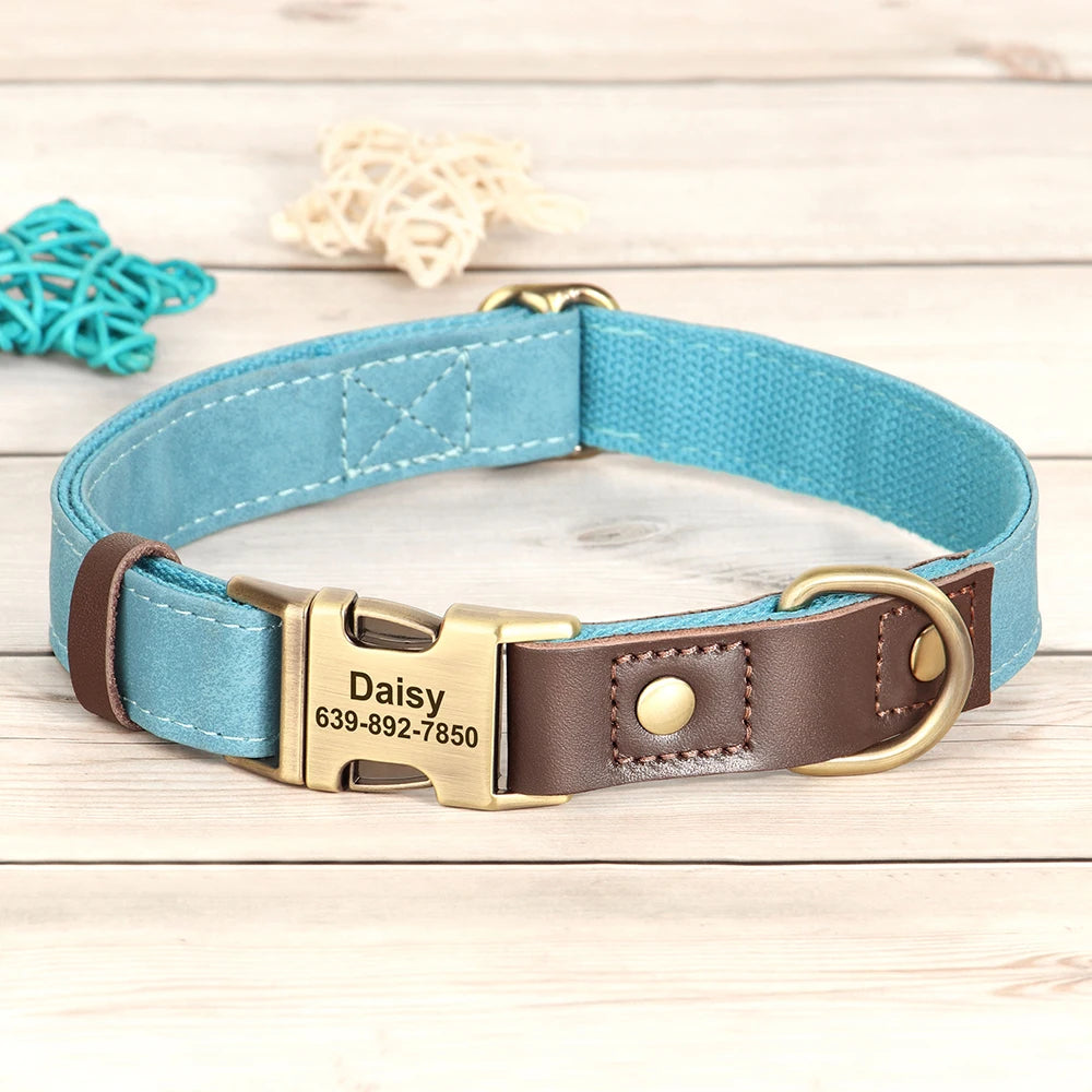 Collier chien personnalisé