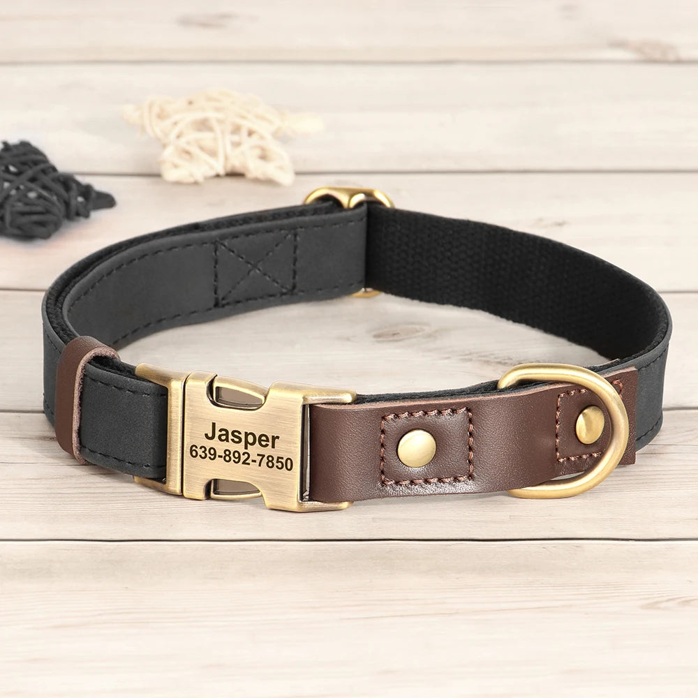 Collier chien personnalisé